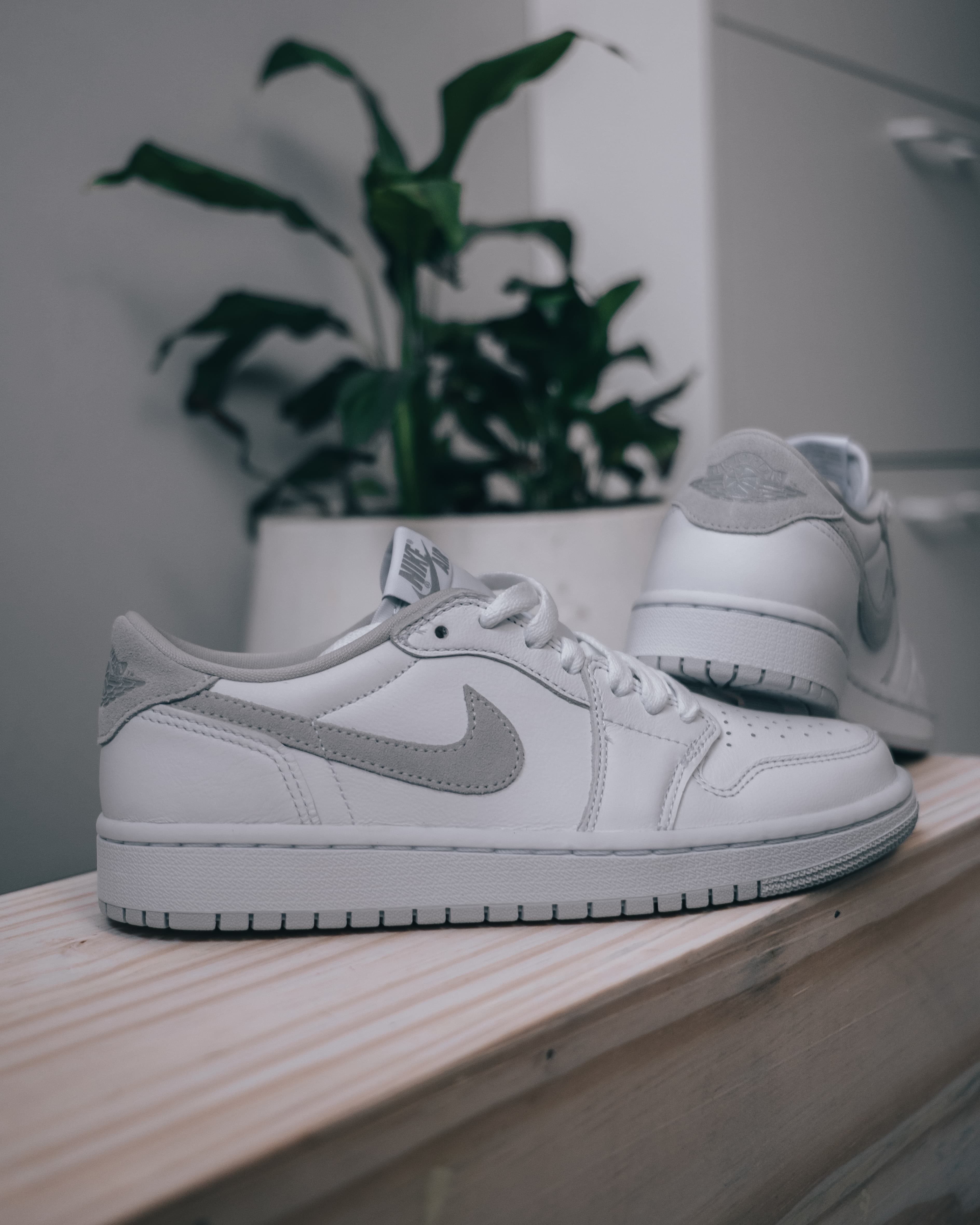 Image by Thamara Maura image